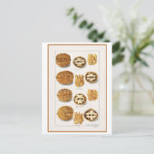 Walnut Vintag Botanische Illustration Wasserfarbe Postkarte (Stehend Vorderseite)