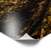 Walnut Woods Metro Park, Groveport, Ohio Fotodruck (Ecke)