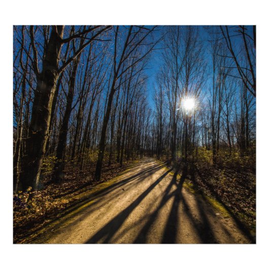 Walnut Woods Metro Park, Groveport, Ohio Fotodruck (Vorne)