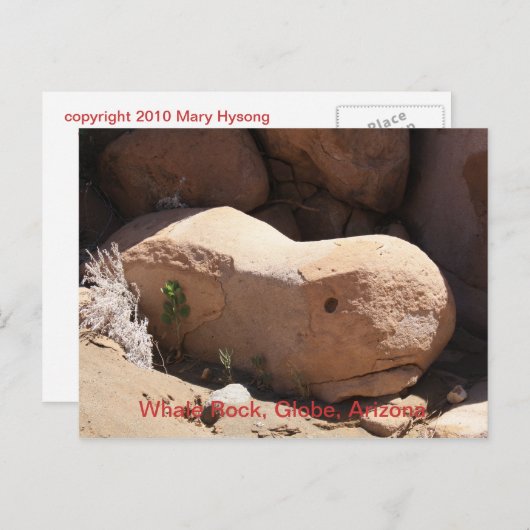 Walrock, Globe, Arizona Postkarte (Vorne/Hinten)