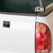 Walross-Autoaufkleber Autoaufkleber (Auf Lkw)