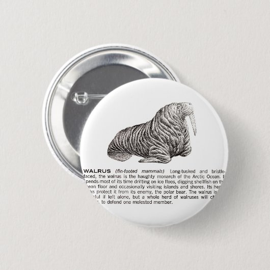 Walroß Button (Vorne & Hinten)