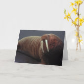 Walross-Gruß-Karte Karte (Gelbe Blume)