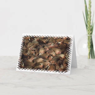 Walross-Gruß-Karte Karte