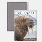Walross in Svalbard Norwegen Magnet (Vorderseite/Rückseite)