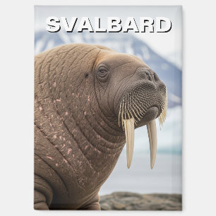 Walross in Svalbard Norwegen Magnet