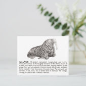 Walroß Postkarte (Stehend Vorderseite)