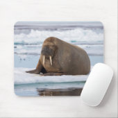 Walross ruht auf Eis, Norwegen Mousepad (Mit Mouse)