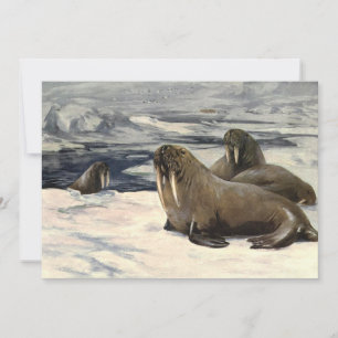 Walrosse im arktischen Schnee, Vintage Meerestier Einladung