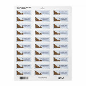Walrus Arctic Freeze Animals Address Labels (Vorne)