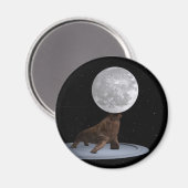 Walrus Balancing the Moon Magnet (Vorderseite/Rückseite)