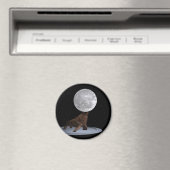 Walrus Balancing the Moon Magnet (In Situ (Geschirrspüler))