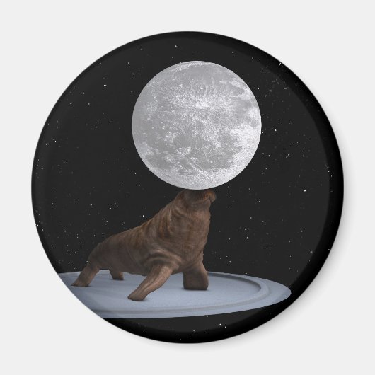 Walrus Balancing the Moon Magnet (Vorne)
