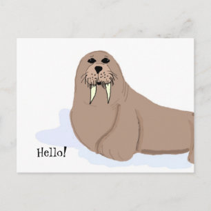 Walrus Cartoon Postkarte
