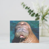 Walrus Eyes Closed Postcard Postkarte (Stehend Vorderseite)