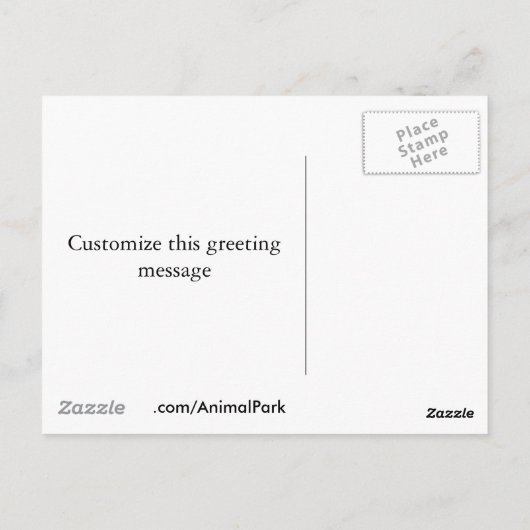 Walrus Herd Postkarte (Rückseite)