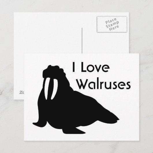 Walrus Liebe Postcard Postkarte (Vorne/Hinten)