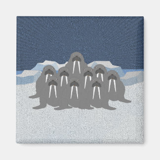 Walrus Magnet