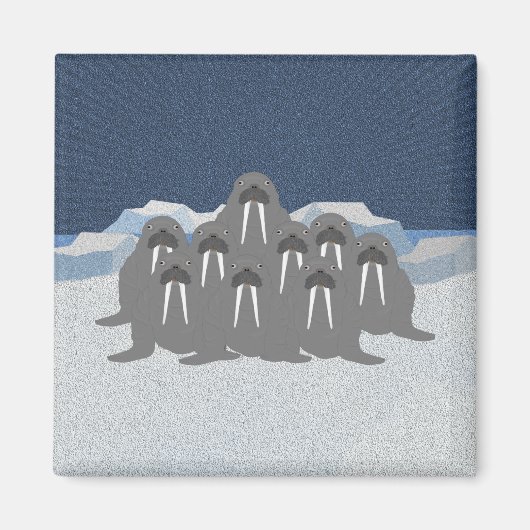 Walrus Magnet (Vorne)