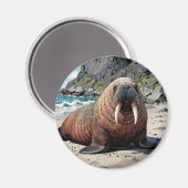 Walrus on a Sandy Beach  | Cute Animals Magnet (Vorderseite/Rückseite)