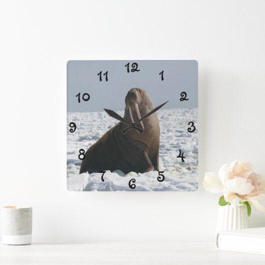 Walrus on Ice Quadratische Wanduhr (Zuhause)