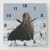 Walrus on Ice Quadratische Wanduhr (Vorderseite)