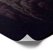 Walrus Poster (Ecke)