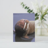 Walrus Postkarte (Stehend Vorderseite)