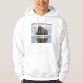 Walrus ruht auf Eis, Norwegen Hoodie (Vorderseite)