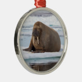 Walrus ruht auf Eis, Norwegen Ornament Aus Metall (Rechts)