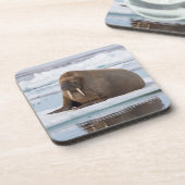 Walrus ruht auf Eis, Norwegen Untersetzer (Linke Seite)