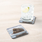 Walrus ruht auf Eis, Norwegen Untersetzer (Rechte Seite)