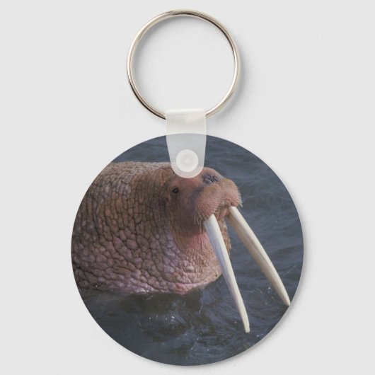 Walrus Schlüsselanhänger (Vorderseite)
