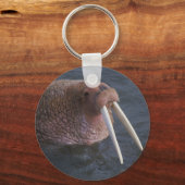 Walrus Schlüsselanhänger (Vorderseite)