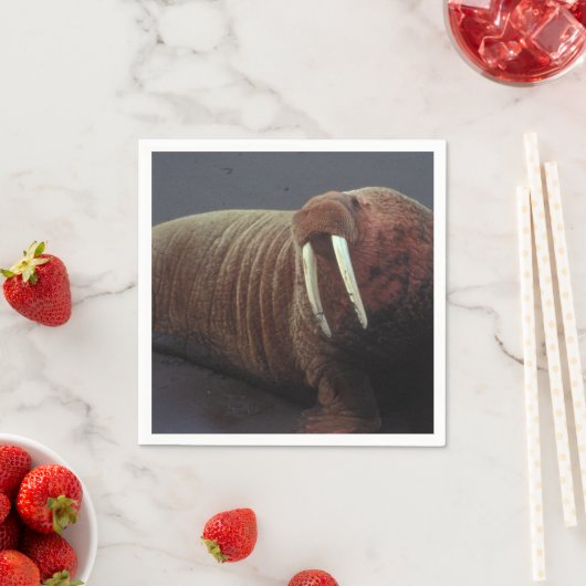 Walrus Serviette (Beispiel)