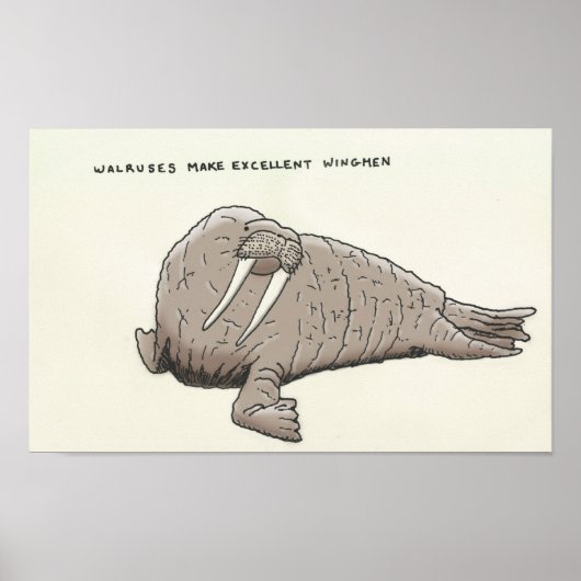Walrus trivia poster (Vorne)