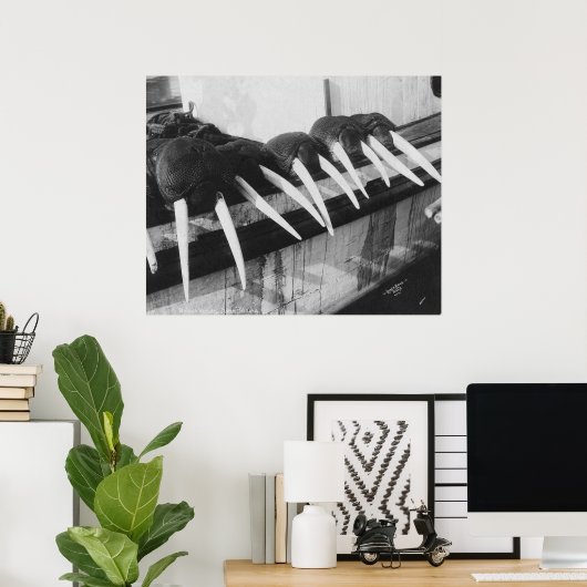 Walrus Tusks: 1931 Poster (Heimbüro)