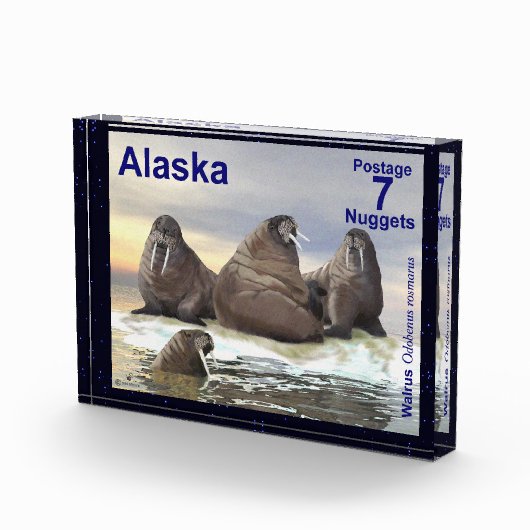 Walrus - Vier Brüder - Alaska Postage Fotoblock (Rechts)