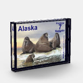 Walrus - Vier Brüder - Alaska Postage Fotoblock (Links)