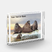 Walrus - Vier Brüder Fotoblock (Links)