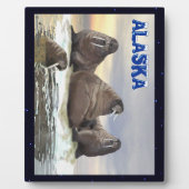 Walrus - Vier Brüder Fotoplatte (Vorderseite)