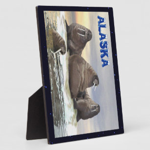 Walrus - Vier Brüder Fotoplatte