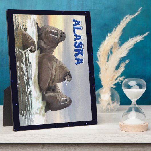 Walrus - Vier Brüder Fotoplatte (Seite)