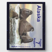 Walrus - Vier Brüder Fotoplatte (Vorderseite)