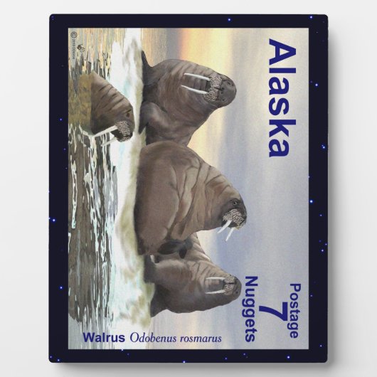 Walrus - Vier Brüder Fotoplatte (Vorderseite)