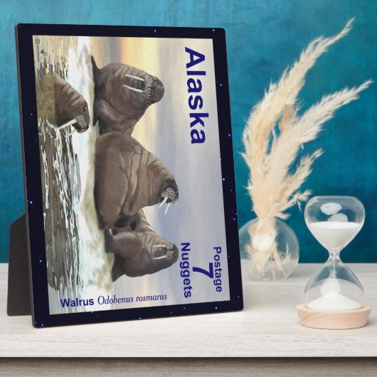 Walrus - Vier Brüder Fotoplatte (Seite)