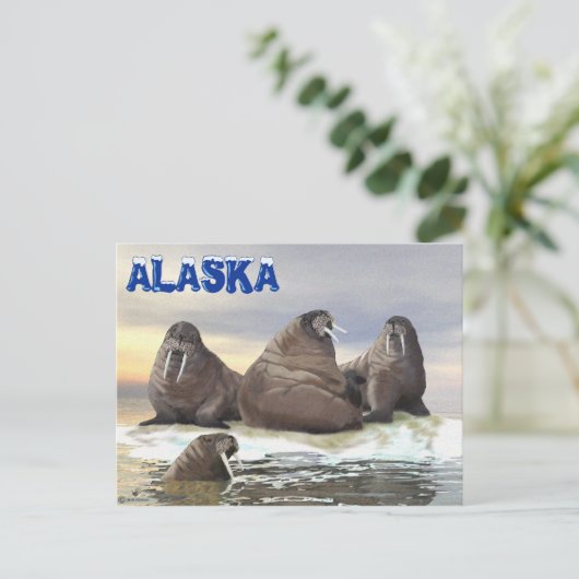 Walrus - Vier Brüder Postkarte (Stehend Vorderseite)