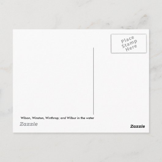 Walrus - Vier Brüder Postkarte (Rückseite)