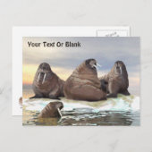 Walrus - Vier Brüder Postkarte (Vorne/Hinten)