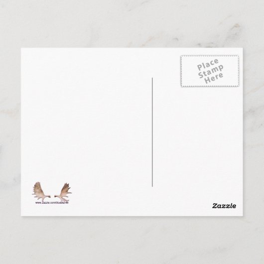 Walrus - Vier Brüder Postkarte (Rückseite)